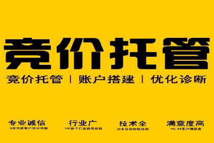 案例解析：SEM搜索引擎优化助力电商快速崛起